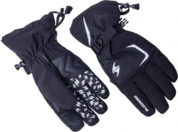 BLIZZARD BLIZZARD Reflex ski gloves, black/silver