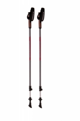 Trekové hole Blizzard Alu Performance Nordic Walking anthracite/red