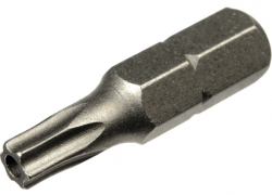 spotřební materiál WINTERSTEIGER Bit Torx 25 mm, size 20