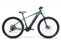 AMULET AMULET 29 eRival 5.0 SR, racing green/black, 2023