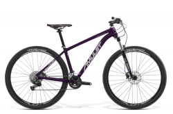 AMULET AMULET 29 Night cat 2.0 SR, royal purple/white, 2024