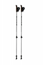 BLIZZARD BLIZZARD Alu Performance nordic walking poles, silver/black