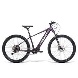 AMULET (II. Quality) 29 eRival 5.0 SR, royal purple/white, 2024