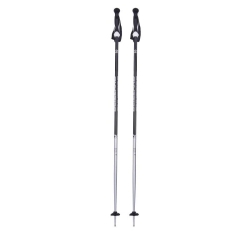 BLIZZARD BLIZZARD Allmountain ski poles, black shiny/silver