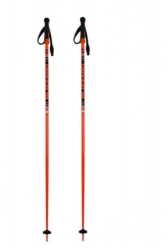 BLIZZARD BLIZZARD Race ski poles, black/orange