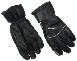 BLIZZARD BLIZZARD Racing Leather ski gloves, black/silver