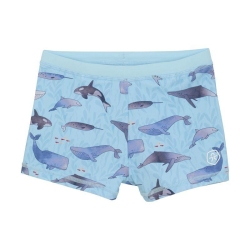 COLOR KIDS COLOR KIDS Swim Trunks, AOP-7148-Summer Song, 2025