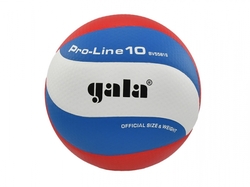 Volejbalový míč GALA Pro Line 10 - BV 5581 S