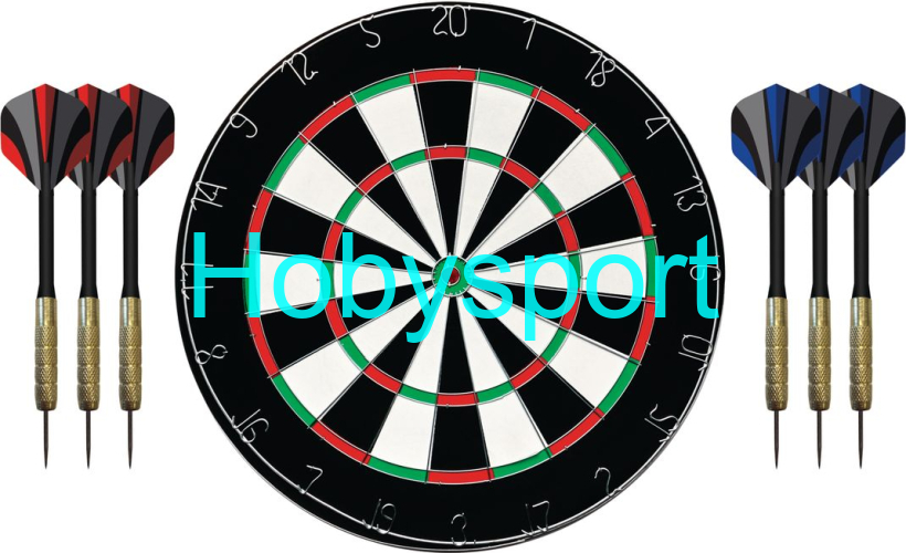Šipky s terčem XQ-MAX flocked Dartboard - SET
