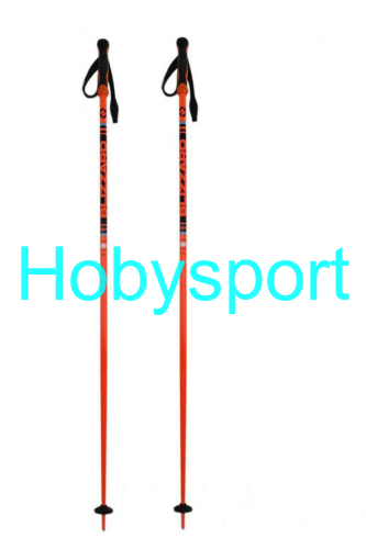 BLIZZARD Race ski poles, black/orange