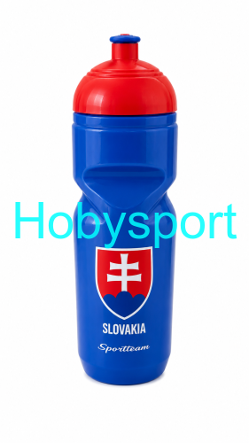Láhev SPORTTEAM, 600ml SR, modrá